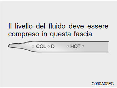 Controllo livello fluido cambio automatico