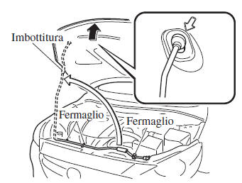 Apertura cofano