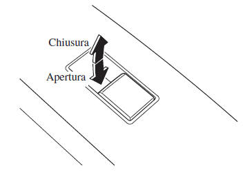Azionamento finestrini elettrici dei passeggeri