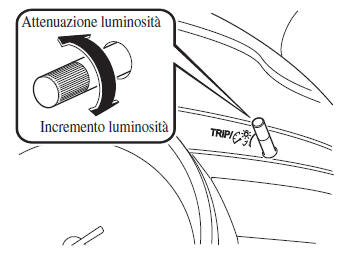 Illuminazione cruscotto