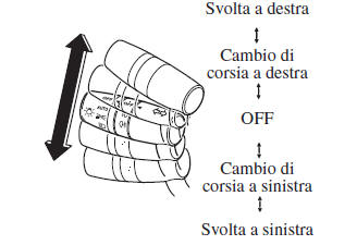 Indicatori di direzione