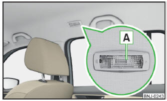 Fig. 60 Luce abitacolo posteriore