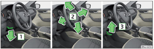 Fig. 15 Regolazione della posizione del volante