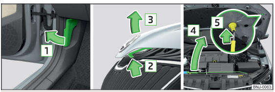 Fig. 257 Apertura del cofano motore