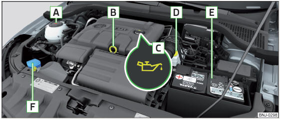 Fig. 258 Esempio di disposizione nel vano motore